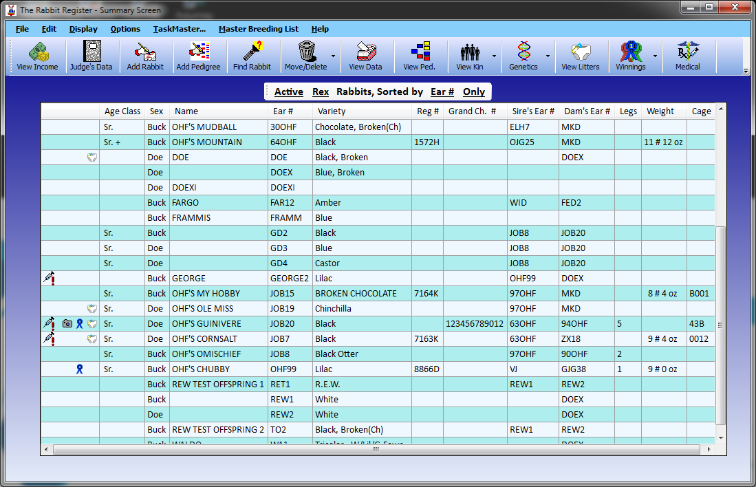 Summary Screen